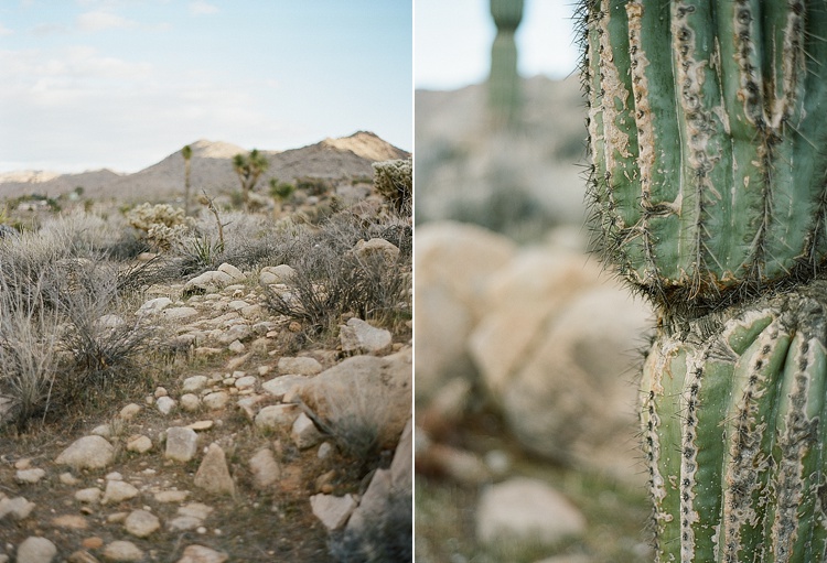 Road Trip to Joshua Tree with Acres of Hope Photography