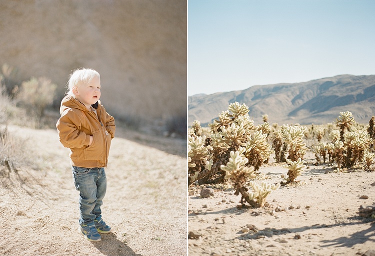 Road Trip to Joshua Tree with Acres of Hope Photography