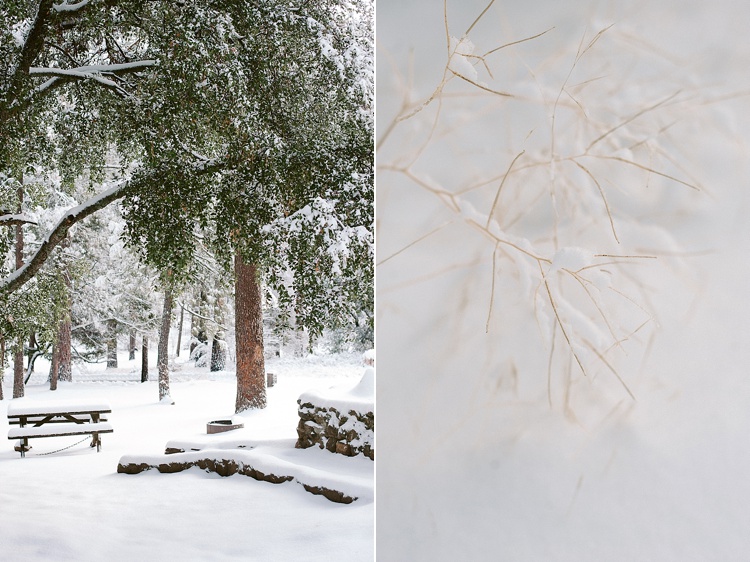 ©Acres of Hope Photography_0129