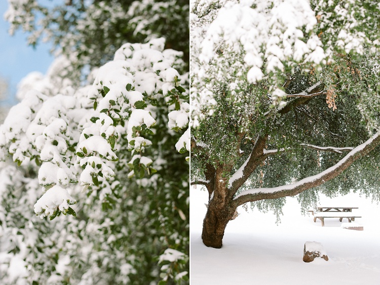 ©Acres of Hope Photography_0132