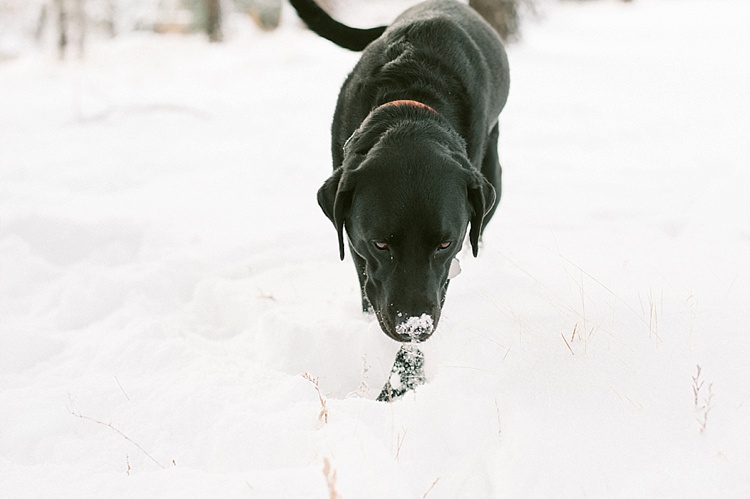 ©Acres of Hope Photography_0140