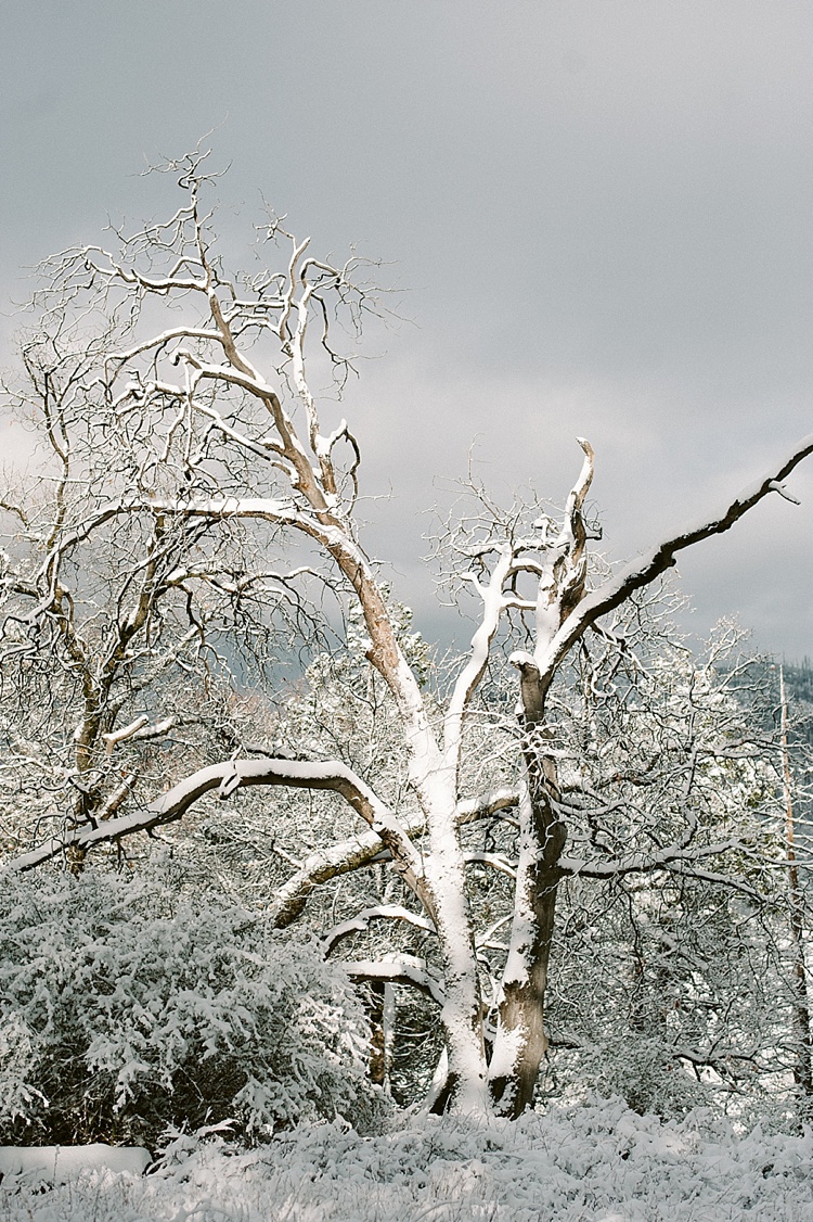 ©Acres of Hope Photography_0143