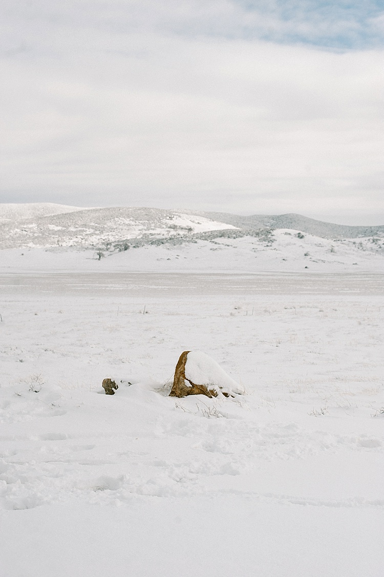 ©Acres of Hope Photography_0150