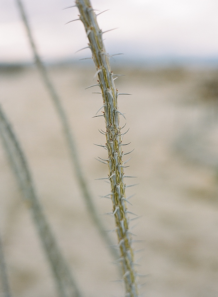 ©Acres of Hope Photography_0208