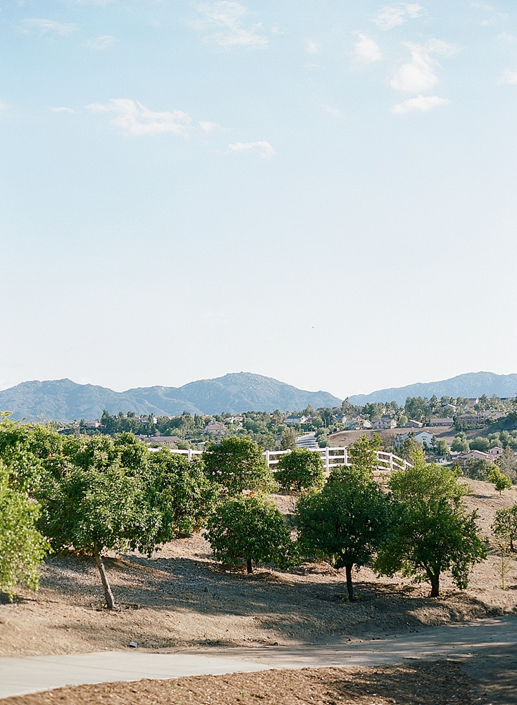 Fine Art Wedding Photography by Erica Schneider Photography