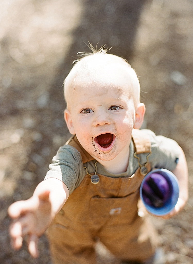 Film Photography by Erica Schneider