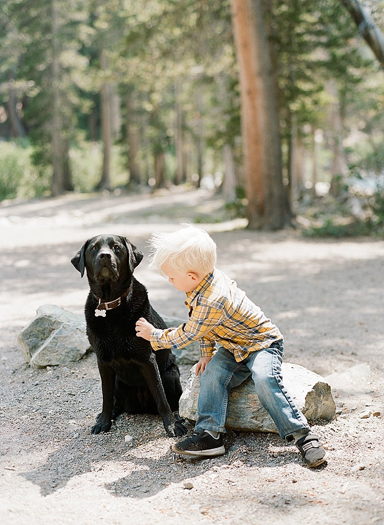 Film Photography by Erica Schneider